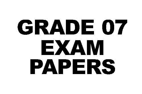 grade 7 maths past exam papers
