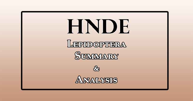Analysis of Lepidoptera by Richard de Zoysa