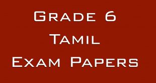 grade-6-tamil-exam-papers