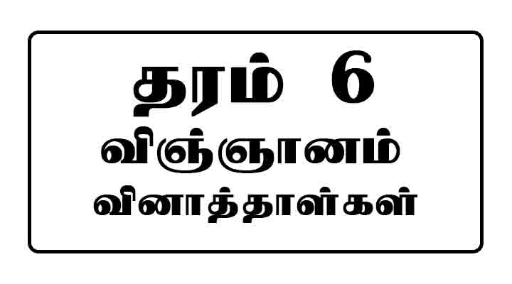 Grade 6 Science Papers Tamil Medium