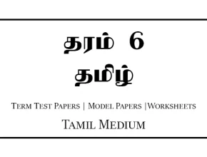Grade 6 Tamil Term Test Papers