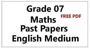 grade 7 maths past papers english medium