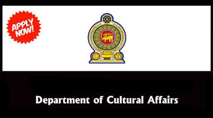 government job vacancy department of cultural affairs