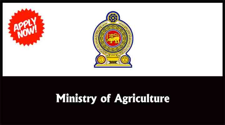 government job vacancy ministry of agriculture
