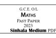 2022-2023 O/L Maths Past Paper Sinhala Medium