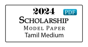 Grade 5 Scholarship Model Papers 2024 Tamil Medium