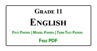 Grade 11 english papers