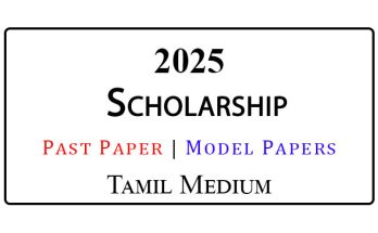 2025 Scholarship Papers and Model Papers Tamil Medium
