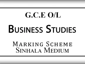 2024 O/L Business and Accounting Studies