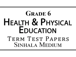 Grade 6 Health & Physical Education Term Test Papers