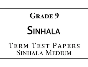 Grade 9 Sinhala Language Term Test Papers