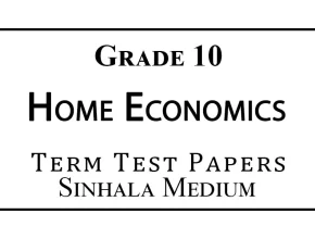 Grade 10 Home Economics Term Test Papers Sinhala Medium