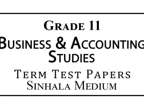 Grade 11 Business & Accounting Studies Term Test Papers Sinhala Medium