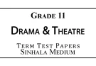 Grade 11 Drama & Theatre Term Test Papers Sinhala Medium