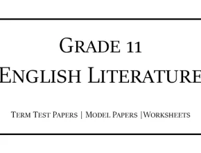 Grade 11 English Literature 1st, 2nd & 3rd Term Test Papers