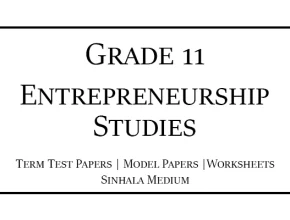 Grade 11 Entrepreneurship Studies Term Test Papers