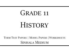 Grade 11 History Term Test Papers