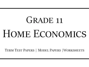 Grade 11 Home Economics Term Test Papers Sinhala Medium