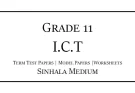 Grade 11 ICT Term Test Papers Sinhala Medium