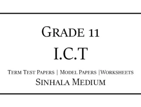 Grade 11 ICT Term Test Papers Sinhala Medium