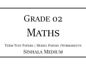 Grade 2 Maths Term Test Papers Sinhala Medium