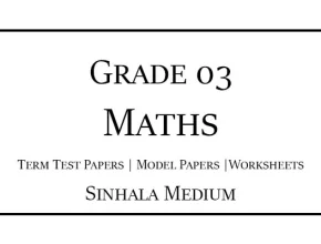 Grade 3 Maths Term Test Papers Sinhala Medium