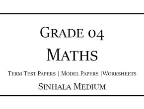Grade 4 Maths Term Test Papers Sinhala Medium