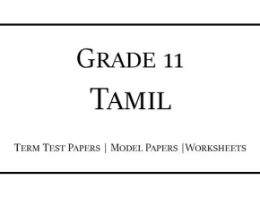 Grade 11 Tamil Term Test Papers
