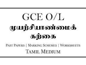 Entrepreneurship Studies Past Papers & Marking Schemes Tamil Medium