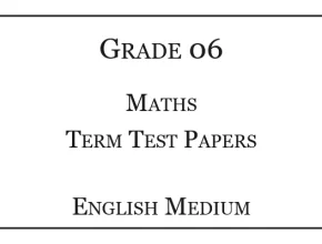Grade 6 Maths Term Test Papers English Medium