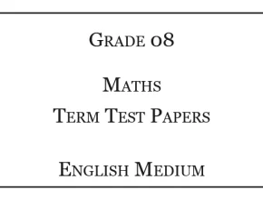 Grade 8 Maths Term Test Papers English Medium